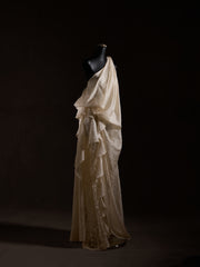 Freja26RS Saracena Dres